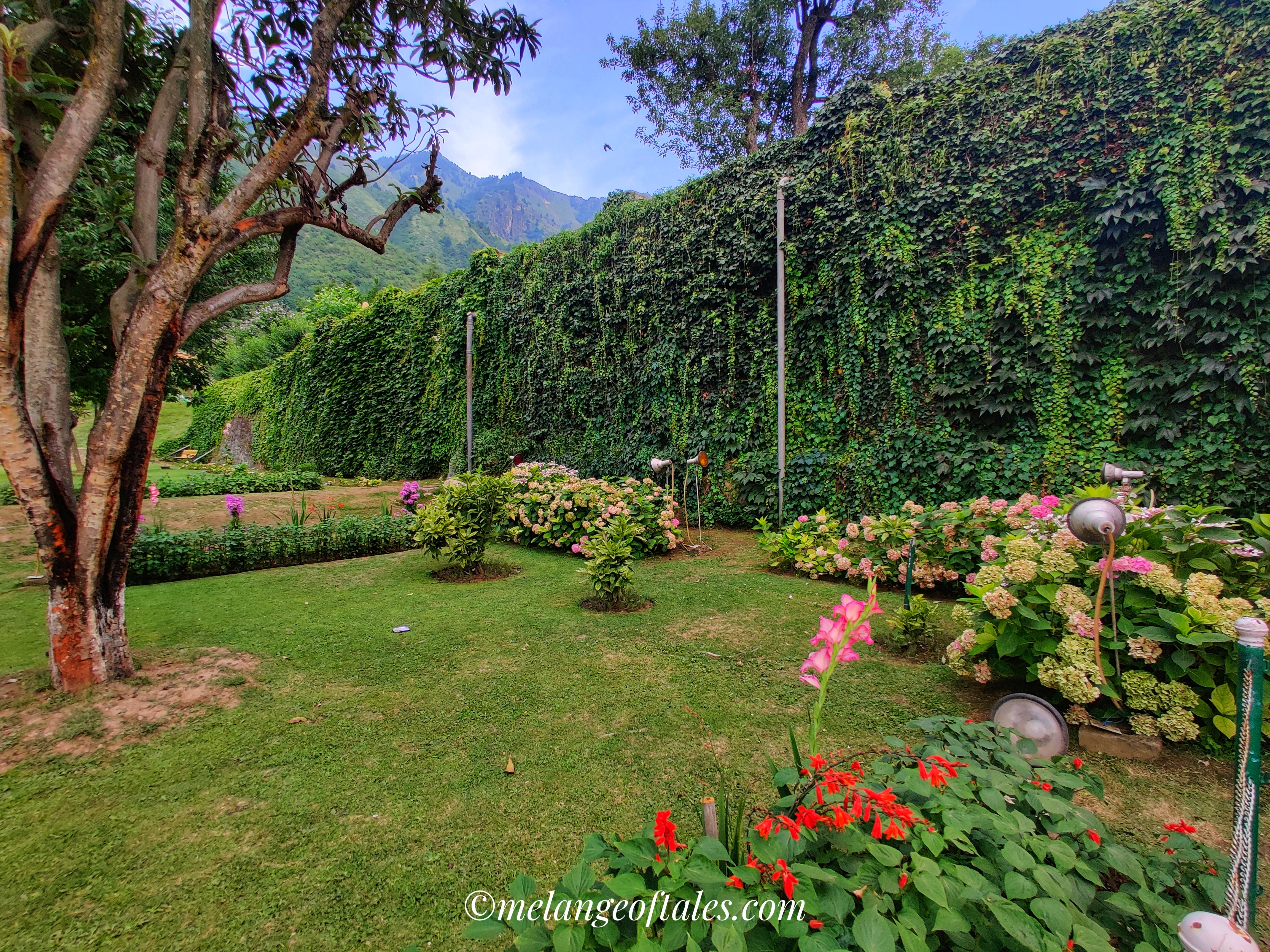 garden Wall