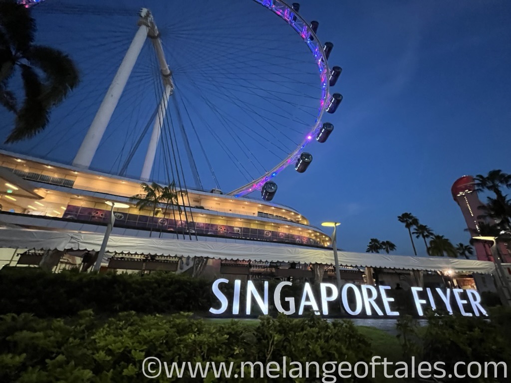 Soaring Above the Lion City: My Breathtaking Experience on the Singapore Flyer - Tips for an Enjoyable Visit