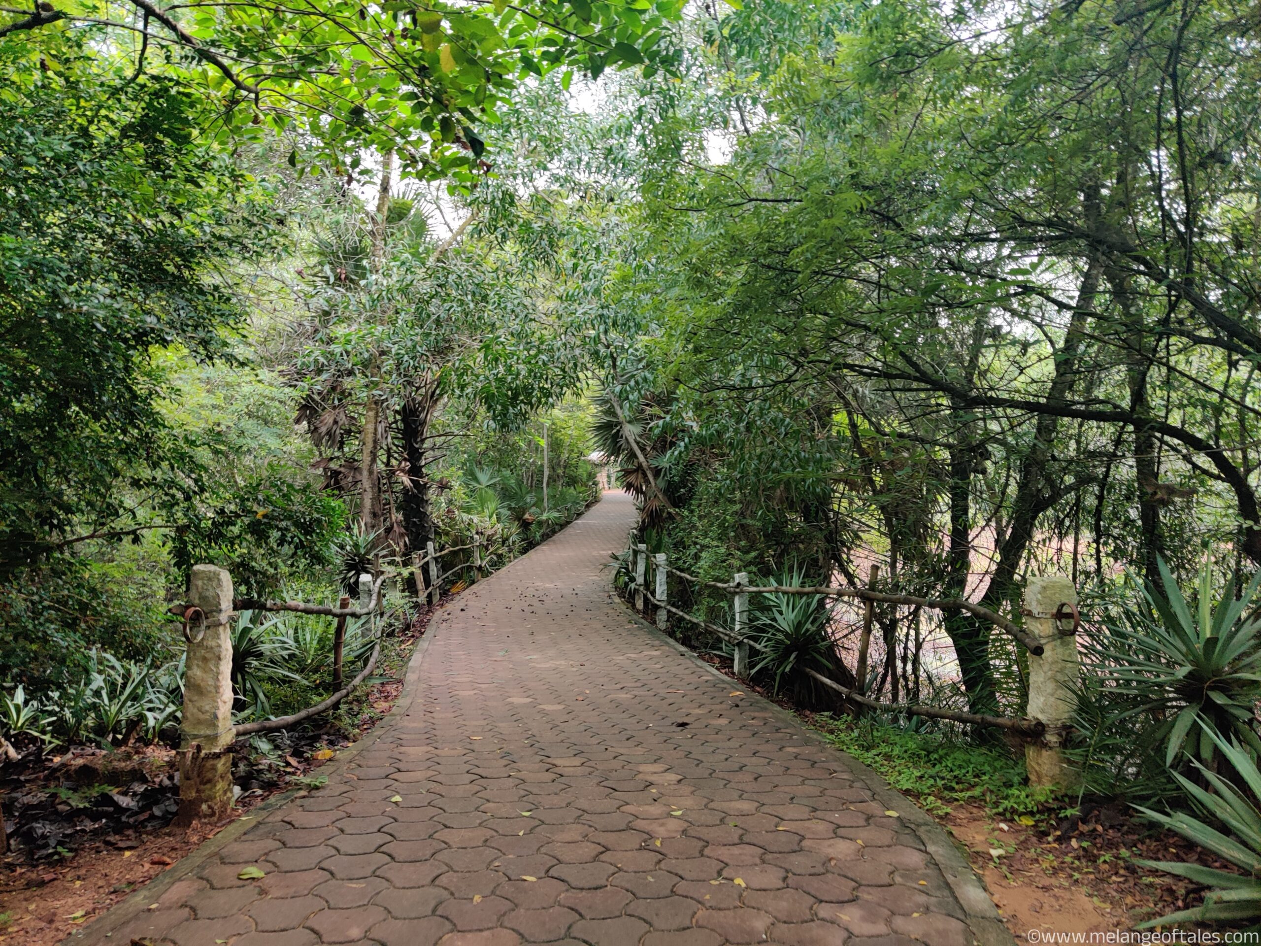 PondyAuroville