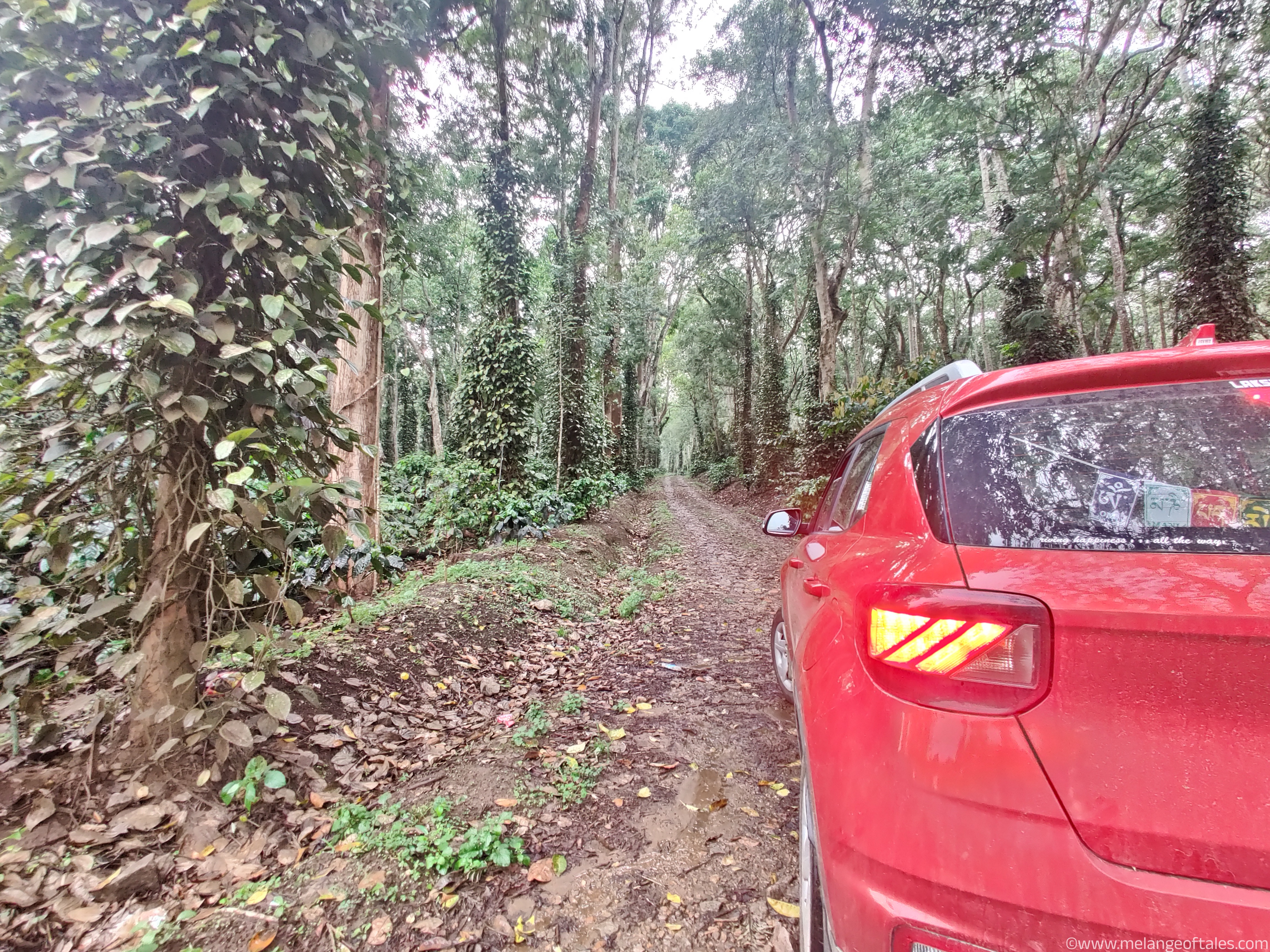 DrivetoCoorg