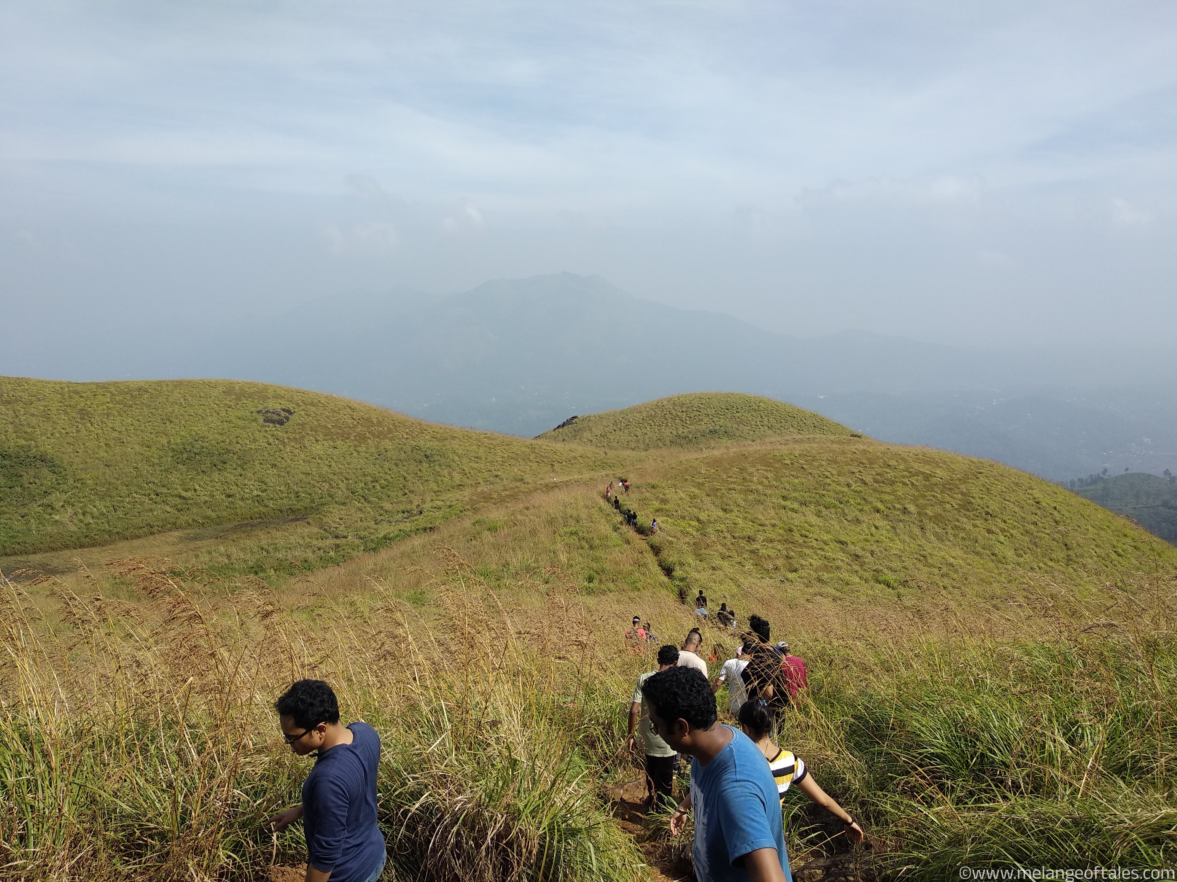 ChembraPeak