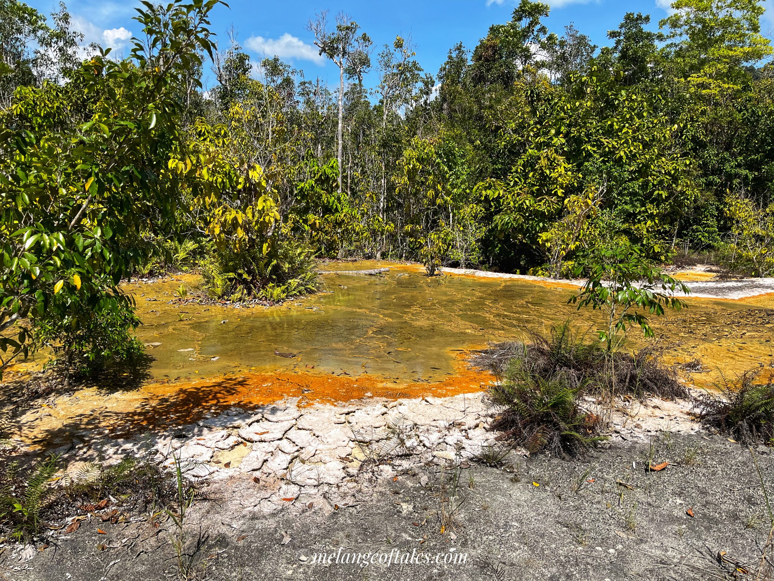 EmeraldPool_Limestones