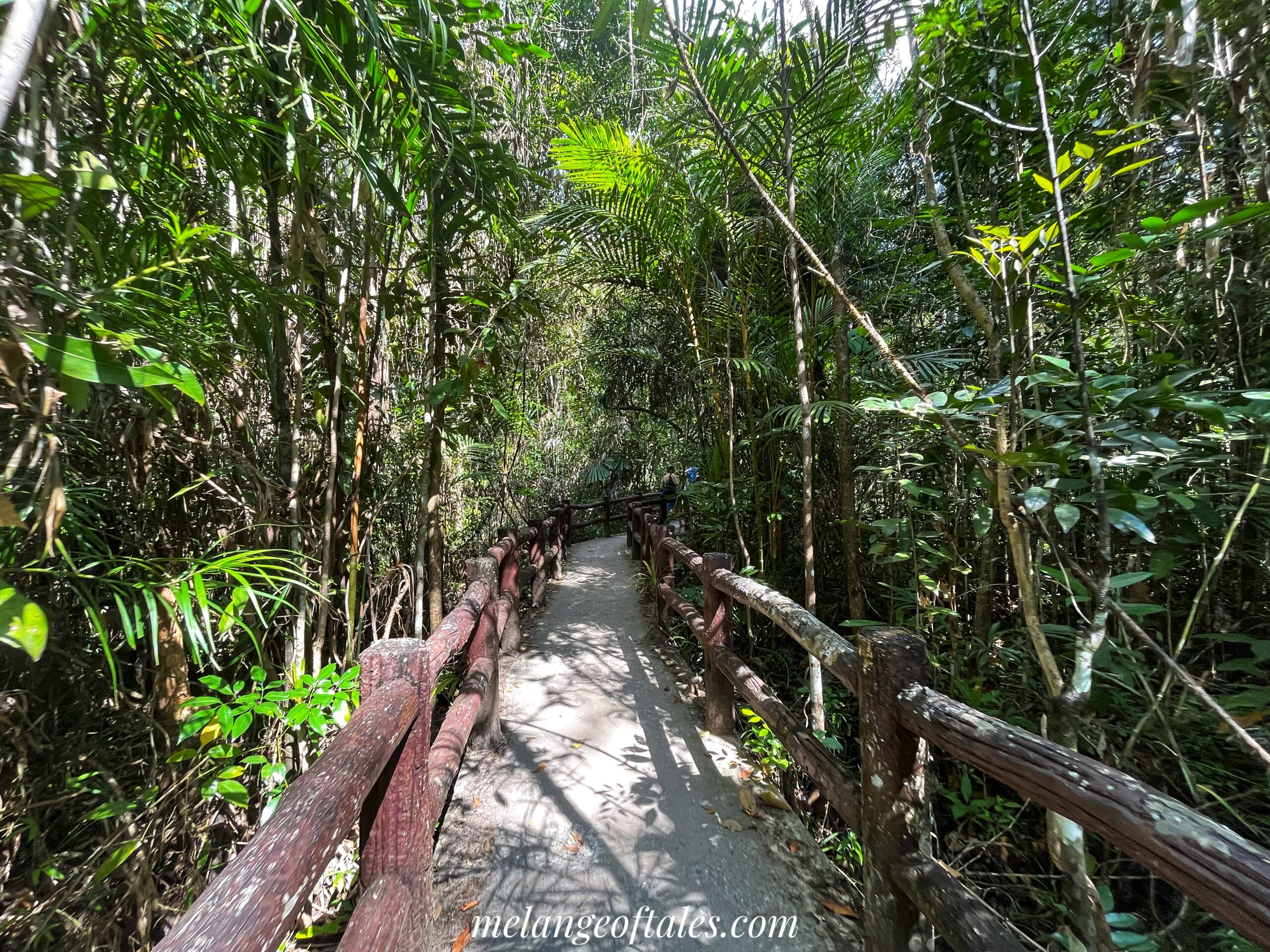 EmeraldPool_pathway