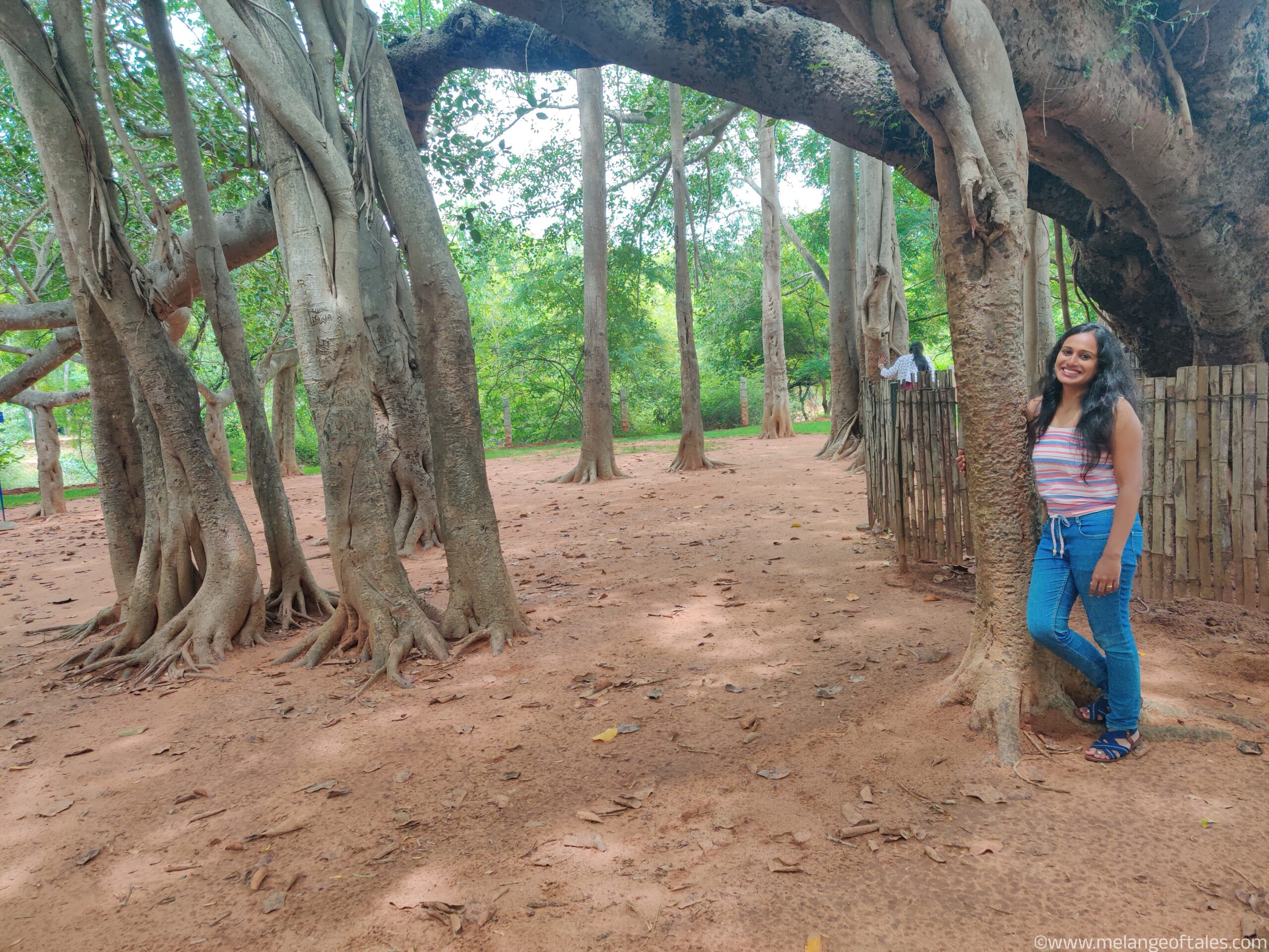 Read more about the article Ultimate Travel Guide to Auroville