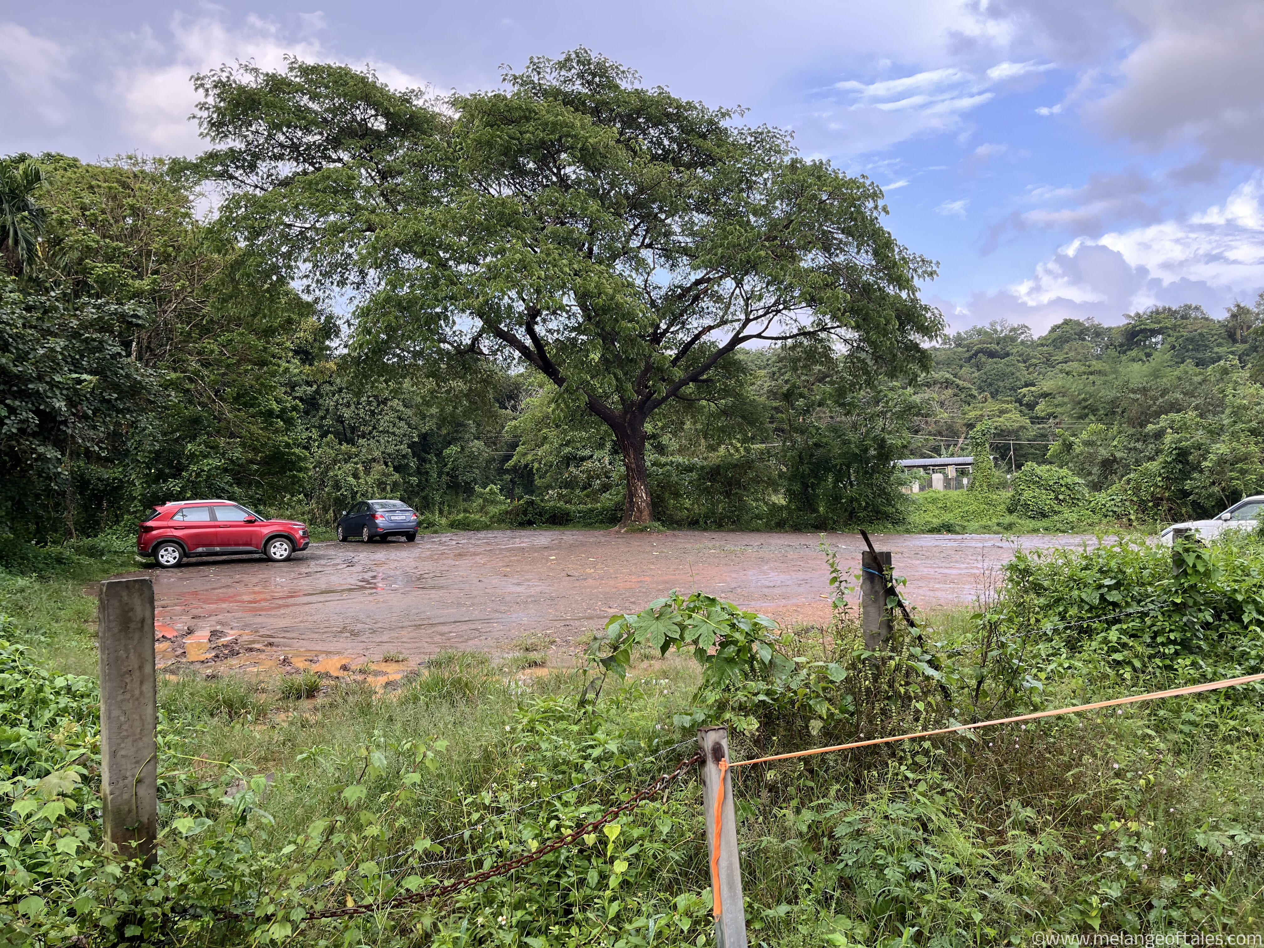 BanasuraParking