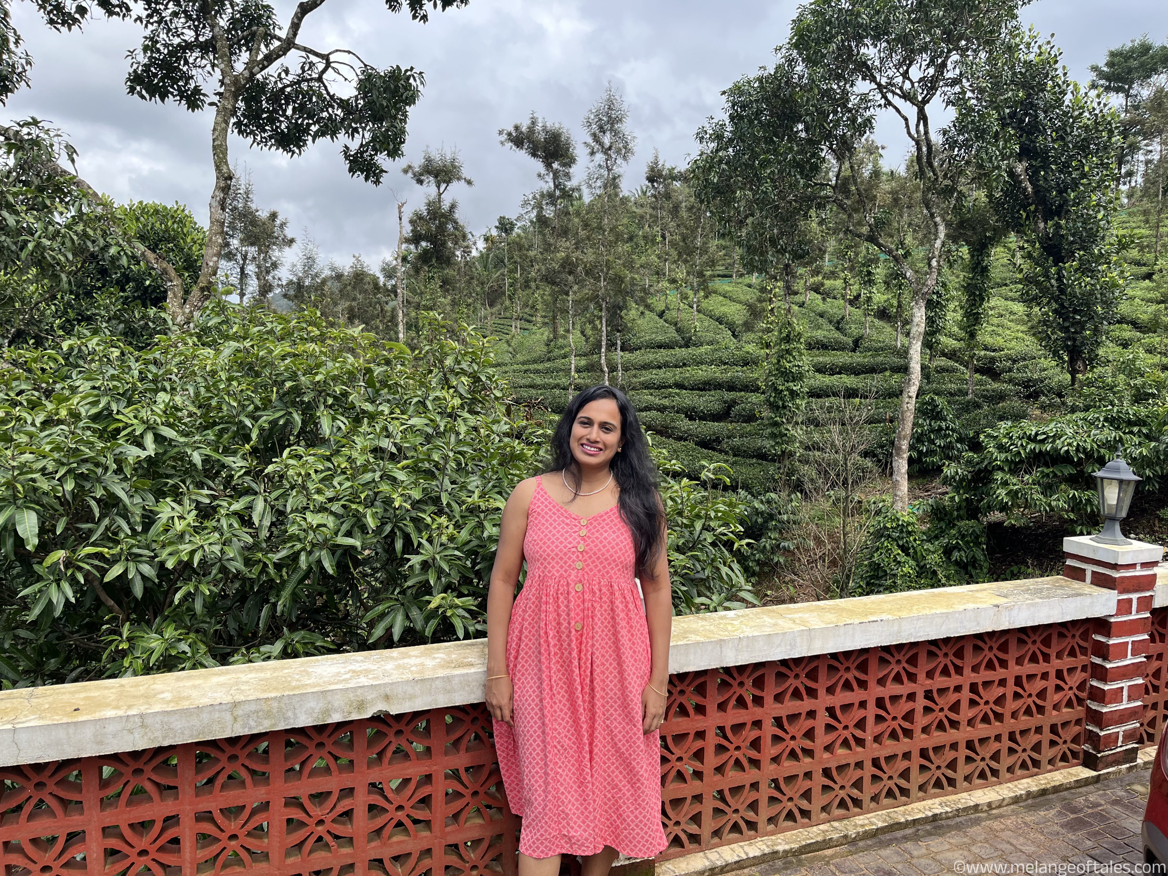You are currently viewing Wayanad – Places to Visit and Things to Do
