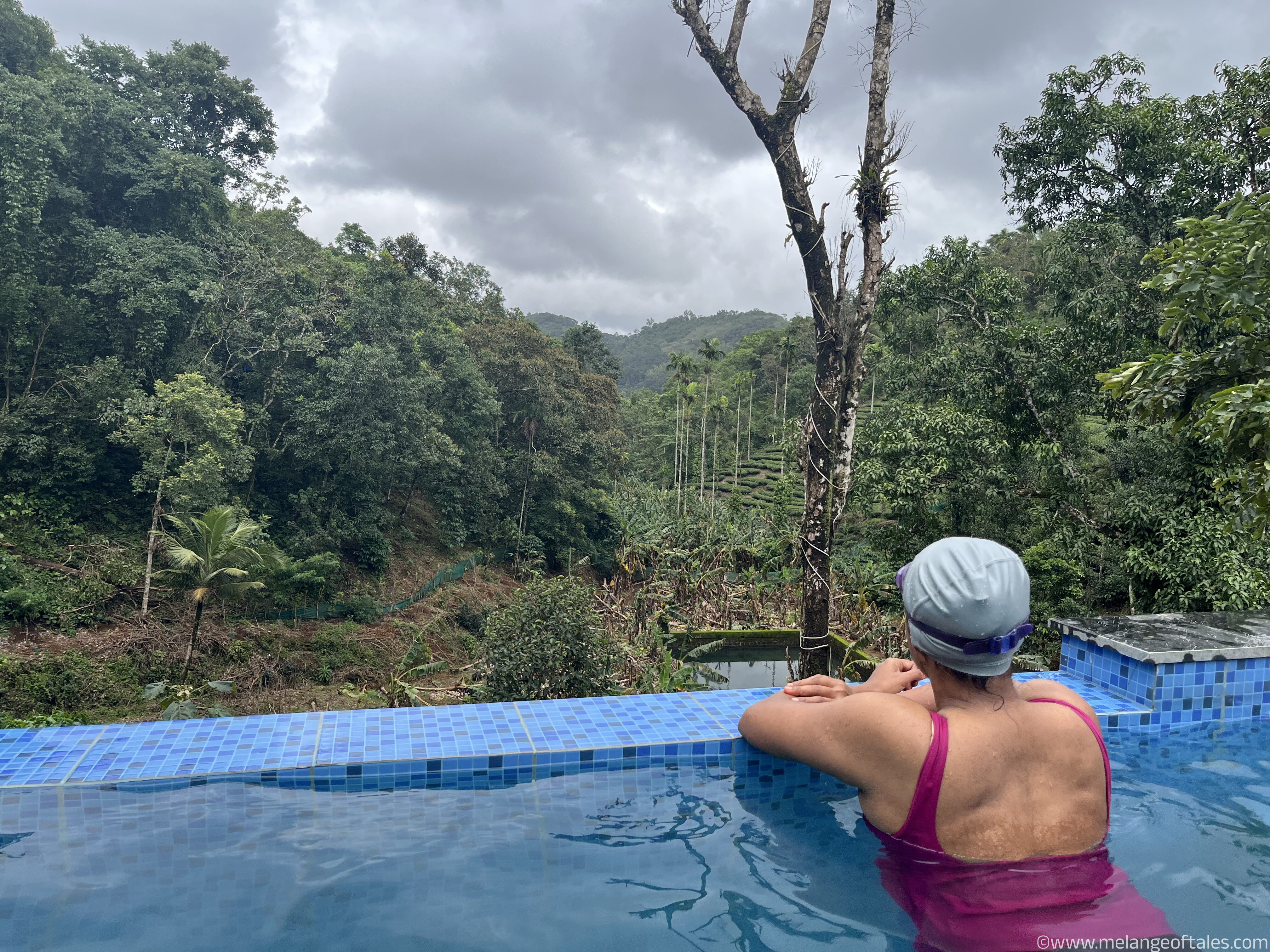 WayanadPoolView1